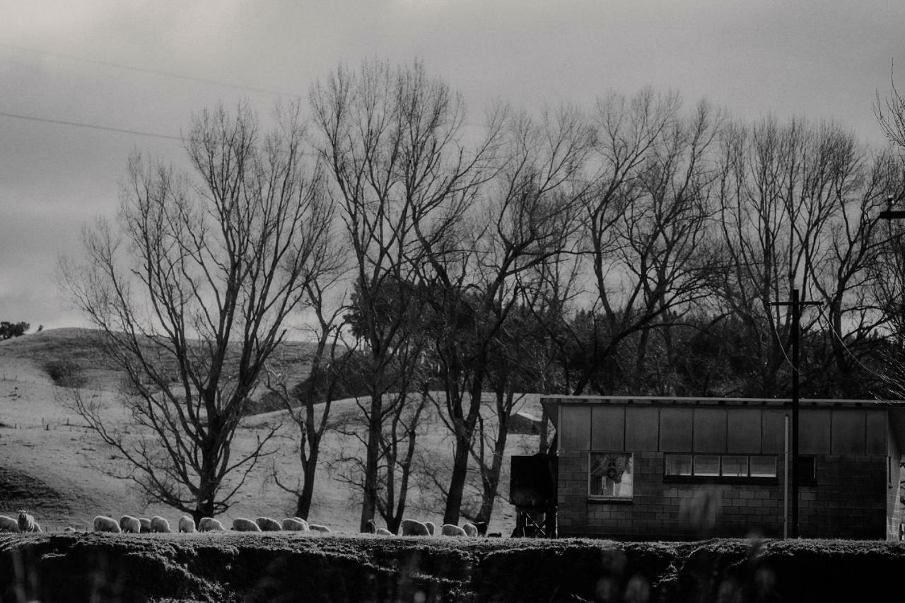 Wallingford Homestead Exteriér fotografie
