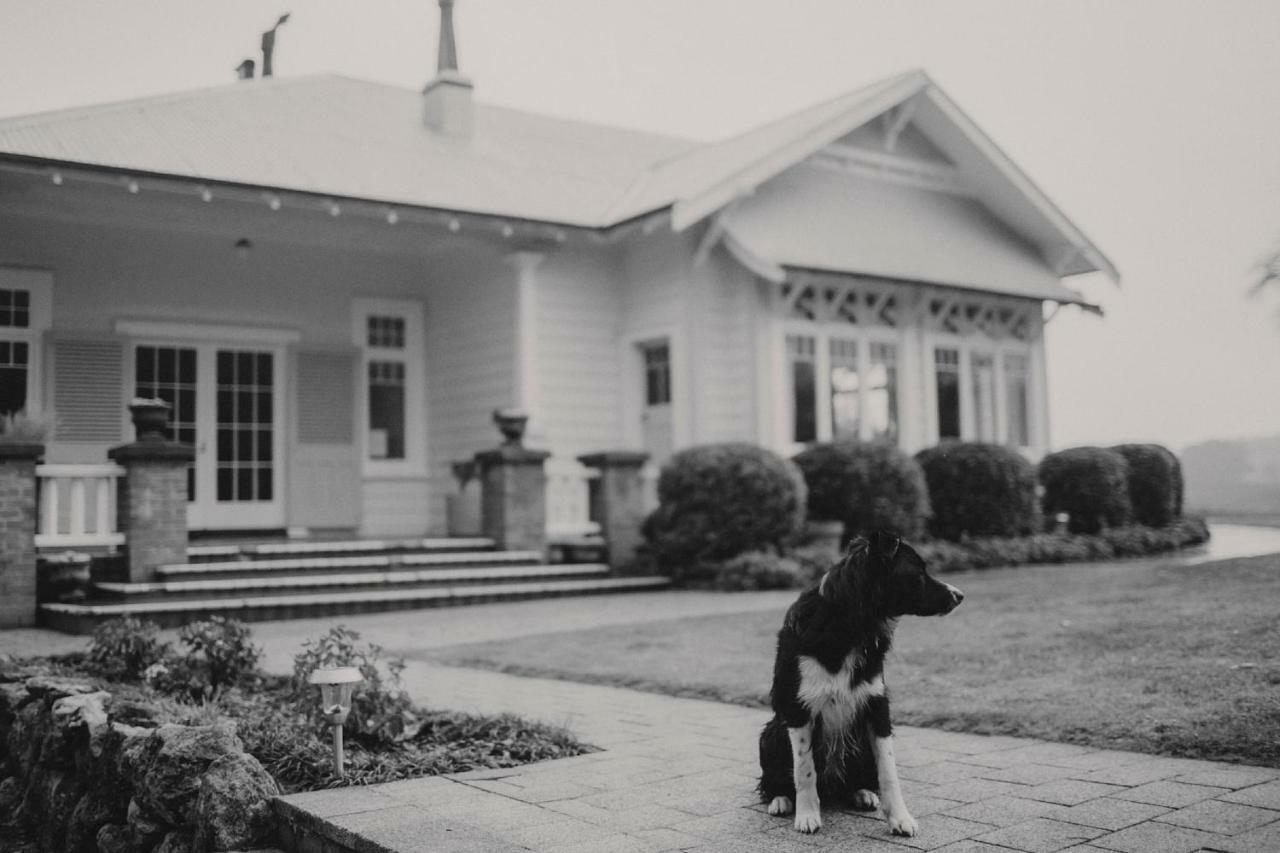 Wallingford Homestead Exteriér fotografie
